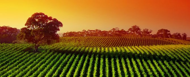 Spring Season 2019 Market Insights
