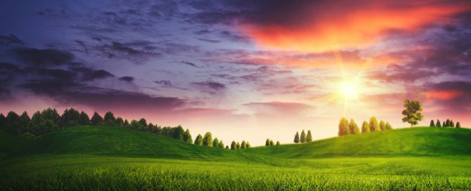 Summer Season 2019 Investment Insights