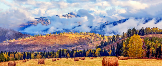 Autumn Season 2019 Financial Investment Insights