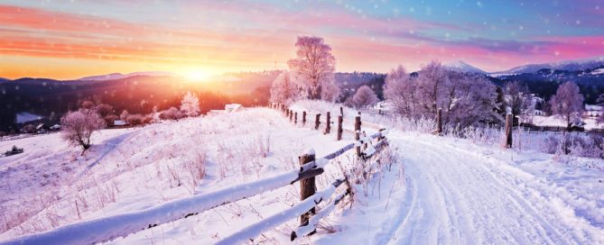 Winter Season 2020 Financial Investment Insights