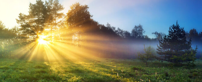 Summer Season 2020 Financial Investment Insights