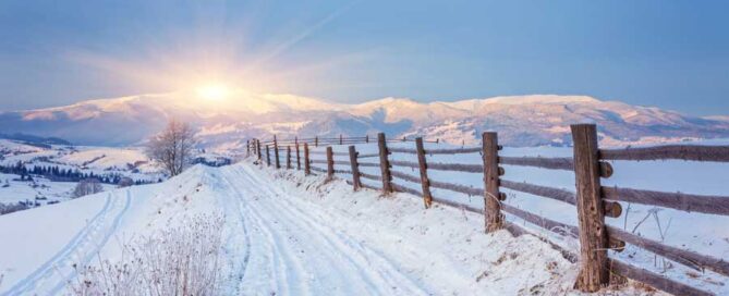 Winter Season 2021 Financial Investment Insights