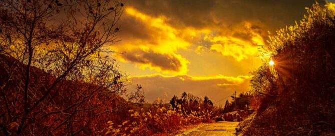 Autumn Skies 2022