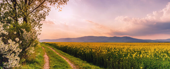 Summer Sky 2023